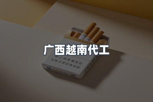 广西越南代工